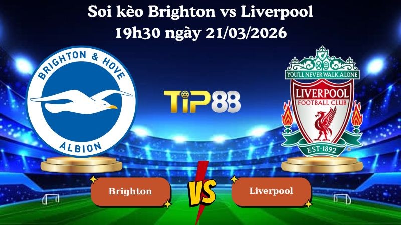TIP88 Nhận định soi kèo Brighton vs Liverpool 19h30 ngày 21/03/2026 - Ngoại hạng Anh