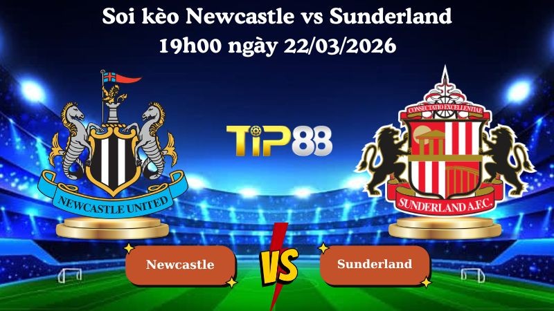 TIP88 Nhận định soi kèo Newcastle vs Sunderland 19h00 ngày 22/03/2026 - Ngoại hạng Anh