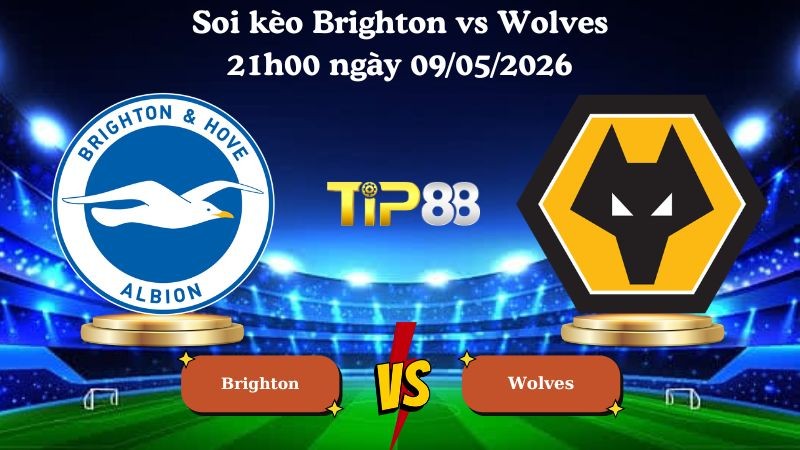 TIP88 Nhận định soi kèo Brighton vs Wolves 21h00 ngày 09/05/2026 - Ngoại hạng Anh