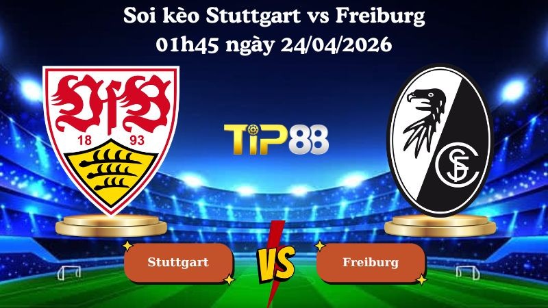 TIP88 Nhận định soi kèo Stuttgart vs Freiburg 01h45 ngày 24/04/2026 - Cúp quốc gia Đức