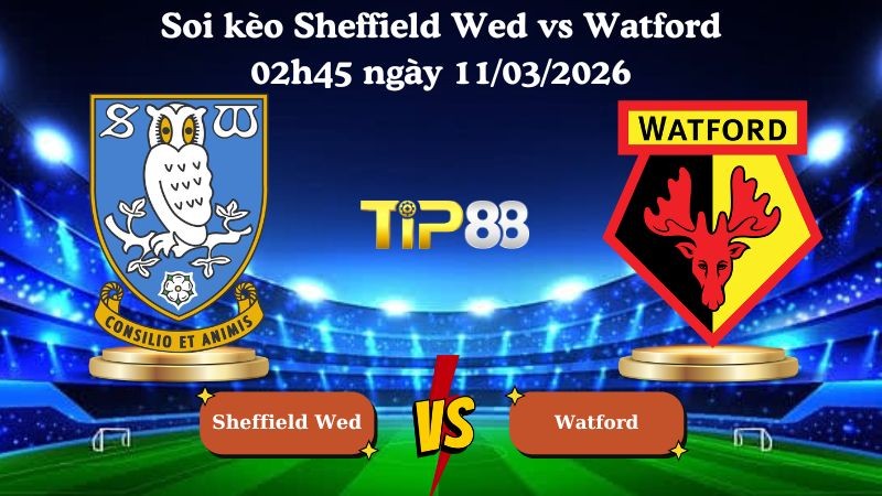 TIP88 Nhận định soi kèo Sheffield Wed vs Watford 02h45 ngày 11/03/2026 - Hạng nhất Anh