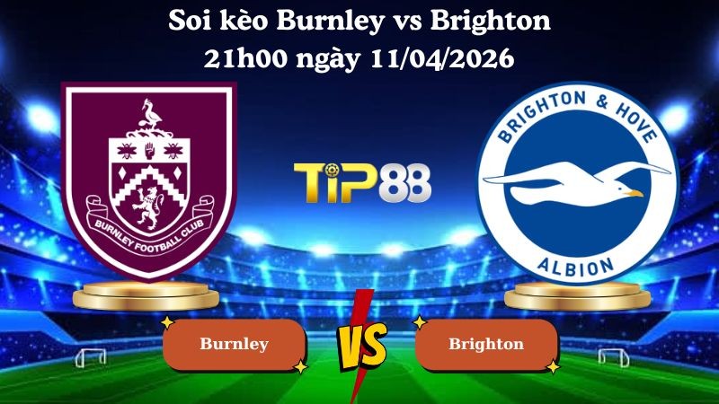 TIP88 Nhận định soi kèo Burnley vs Brighton 21h00 ngày 11/04/2026 - Ngoại hạng Anh